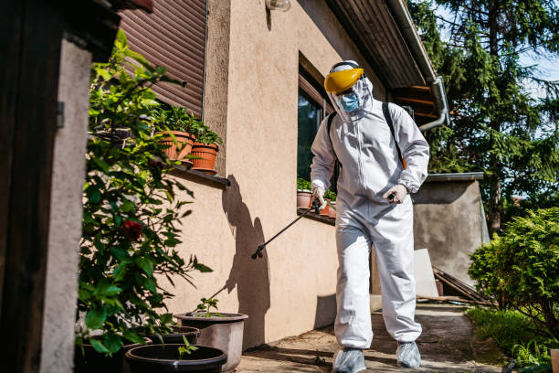 Best Best Pest Control Companies  in Dickinson, ND