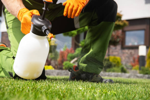 Best Exterminator Services  in Dickinson, ND