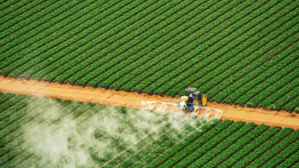Best Commercial Pest Control Services  in Dickinson, ND